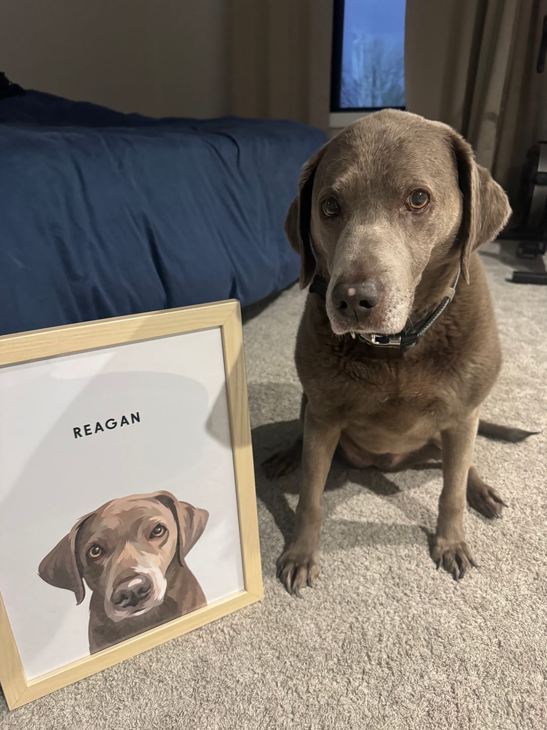 Portrait d'animal personnalisé envoyé par un client