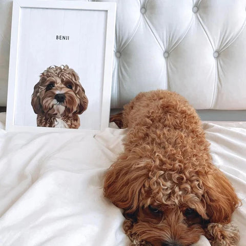 Portrait d'animal personnalisé publié sur le compte Instagram de Gustave