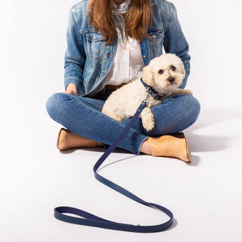 Portrait d'animal personnalisé publié sur le compte Instagram de Gustave